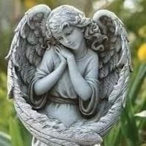 Meet your Posher, Anne